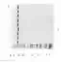 Fig. 82 - Compositions and Methods for Treating Collagen-Mediated Diseases