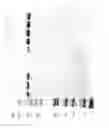 Fig. 89 - Compositions and Methods for Treating Collagen-Mediated Diseases