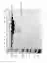 Fig. 46 - COMPOSITIONS AND METHODS FOR TREATING COLLAGEN-MEDIATED DISEASES