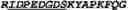 Fig. 03 - Anti-CD40 antibodies