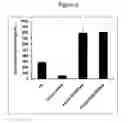 Fig. 09 - MODIFICATION OF NUCLEIC ACID VECTORS WITH POLYMERS COMPRISING CHARGED QUATERNARY AMINO GROUPS