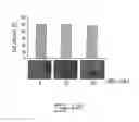 Fig. 16 - COMPOUND AND METHOD FOR REGULATING PLASMINOGEN ACTIVATION AND CELL MIGRATION