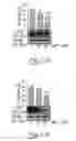 Fig. 17 - COMPOUND AND METHOD FOR REGULATING PLASMINOGEN ACTIVATION AND CELL MIGRATION