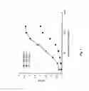 Fig. 02 - Neutralizing antibodies against GDF-8 and uses therefor