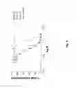 Fig. 03 - Neutralizing antibodies against GDF-8 and uses therefor