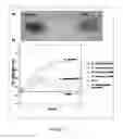 Fig. 02 - Methods and compositions for treating 