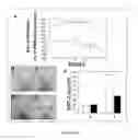 Fig. 10 - Methods and compositions for treating 