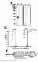 Fig. 12 - Methods and compositions for treating 