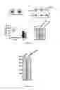 Fig. 20 - Methods and compositions for treating 