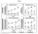 Fig. 07 - Methods for treating bone cancer by administering a nerve growth factor antagonist antibody
