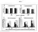 Fig. 08 - Methods for treating bone cancer by administering a nerve growth factor antagonist antibody