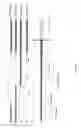 Fig. 16 - Antibodies to LRP6