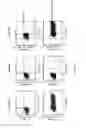 Fig. 17 - Antibodies to LRP6