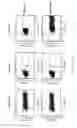 Fig. 19 - Antibodies to LRP6