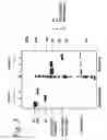 Fig. 07 - SINGLE CHAIN Fc (ScFc) REGIONS, BINDING POLYPEPTIDES COMPRISING SAME, AND METHODS RELATED THERETO
