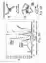 Fig. 08 - SINGLE CHAIN Fc (ScFc) REGIONS, BINDING POLYPEPTIDES COMPRISING SAME, AND METHODS RELATED THERETO