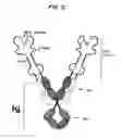 Fig. 04 - MOLECULAR COMPLEXES WHICH MODIFY IMMUNE RESPONSES