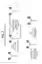 Fig. 07 - MOLECULAR COMPLEXES WHICH MODIFY IMMUNE RESPONSES