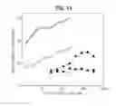Fig. 19 - MOLECULAR COMPLEXES WHICH MODIFY IMMUNE RESPONSES