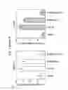 Fig. 05 - Therapeutic applications of p53 isoforms in regenerative medicine, aging and cancer