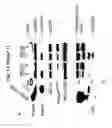 Fig. 27 - Therapeutic applications of p53 isoforms in regenerative medicine, aging and cancer