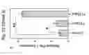 Fig. 32 - Therapeutic applications of p53 isoforms in regenerative medicine, aging and cancer