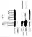 Fig. 48 - Therapeutic applications of p53 isoforms in regenerative medicine, aging and cancer