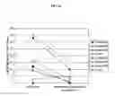Fig. 04 - PROSTATE STEM CELL ANTIGEN VACCINES AND USES THEREOF