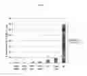 Fig. 08 - PROSTATE STEM CELL ANTIGEN VACCINES AND USES THEREOF