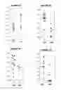 Fig. 03 - COMPOSITIONS COMPRISING PNEUMOCOCCAL ANTIGENS