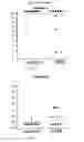 Fig. 12 - COMPOSITIONS COMPRISING PNEUMOCOCCAL ANTIGENS