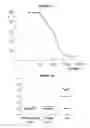 Fig. 16 - COMPOSITIONS COMPRISING PNEUMOCOCCAL ANTIGENS