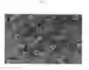 Fig. 03 - SURFACE PROTEINS OF STREPTOCOCCUS PYOGENES