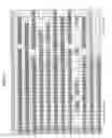 Fig. 12 - SURFACE PROTEINS OF STREPTOCOCCUS PYOGENES