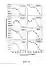 Fig. 15 - SURFACE PROTEINS OF STREPTOCOCCUS PYOGENES
