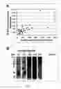 Fig. 02 - Enterococcus antigens