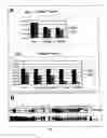 Fig. 06 - Enterococcus antigens