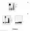 Fig. 06 - Methods and systems for -glycosylating proteins