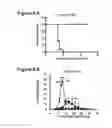 Fig. 07 - Chimeric MSP-based malaria vaccine
