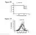 Fig. 08 - Chimeric MSP-based malaria vaccine