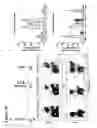 Fig. 11 - Polynucleotides allowing the expression and secretion of recombinant pseudo-virus containing foreign epitopes, their production, and use