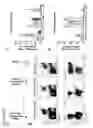 Fig. 16 - Polynucleotides allowing the expression and secretion of recombinant pseudo-virus containing foreign epitopes, their production, and use