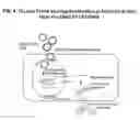 Fig. 05 - IDNA vaccines and methods for using the same