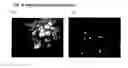 Fig. 06 - IDNA vaccines and methods for using the same