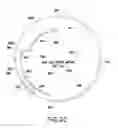 Fig. 06 - METHODS OF ENHANCING THE IMMUNOGENICITY OF MYCOBACTERIA AND COMPOSITIONS FOR THE TREATMENT OF CANCER, TUBERCULOSIS, AND FIBROSING LUNG DISEASES