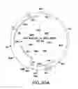 Fig. 30 - METHODS OF ENHANCING THE IMMUNOGENICITY OF MYCOBACTERIA AND COMPOSITIONS FOR THE TREATMENT OF CANCER, TUBERCULOSIS, AND FIBROSING LUNG DISEASES
