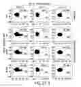 Fig. 46 - METHODS OF ENHANCING THE IMMUNOGENICITY OF MYCOBACTERIA AND COMPOSITIONS FOR THE TREATMENT OF CANCER, TUBERCULOSIS, AND FIBROSING LUNG DISEASES