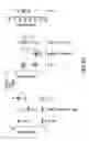 Fig. 49 - METHODS OF ENHANCING THE IMMUNOGENICITY OF MYCOBACTERIA AND COMPOSITIONS FOR THE TREATMENT OF CANCER, TUBERCULOSIS, AND FIBROSING LUNG DISEASES