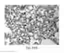 Fig. 52 - METHODS OF ENHANCING THE IMMUNOGENICITY OF MYCOBACTERIA AND COMPOSITIONS FOR THE TREATMENT OF CANCER, TUBERCULOSIS, AND FIBROSING LUNG DISEASES