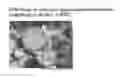 Fig. 01 - Film-form preparation and method for producing the same